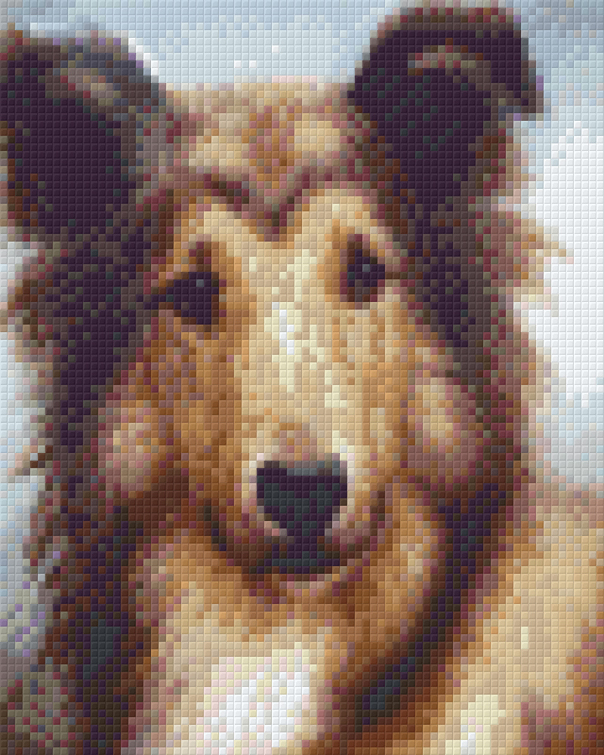 Young Collie Four [4] Baseplate PixelHobby Mini-mosaic Art Kit image 0